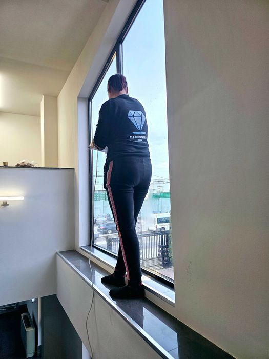 Servicii de curățenie, Amenajare gradini, curti, Desinsectie cu Abur