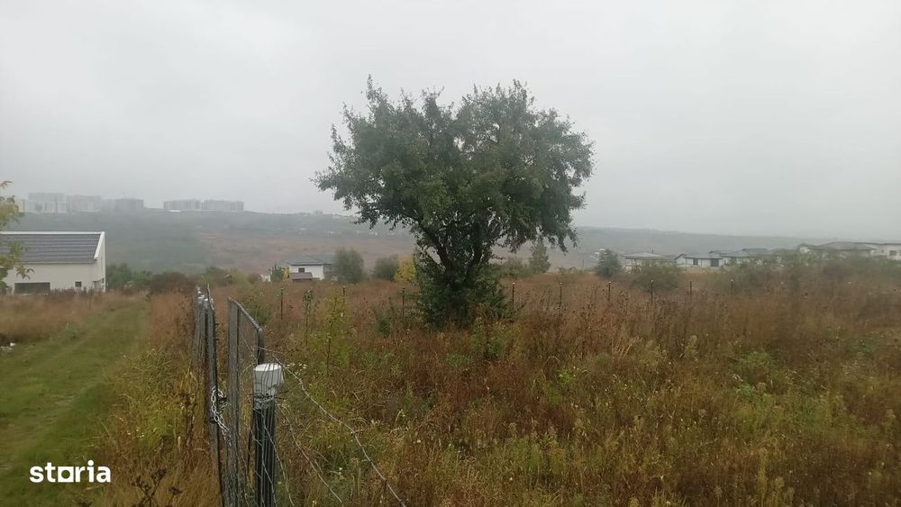 Teren pentru constructii case de vanzare Rediu