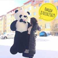 Панды панда Алматы плюшевые мишки