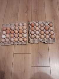 Яйца за люпене от домашни селски кокошки