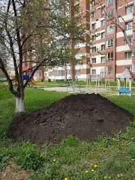 Чернозем,навоз плодовитые