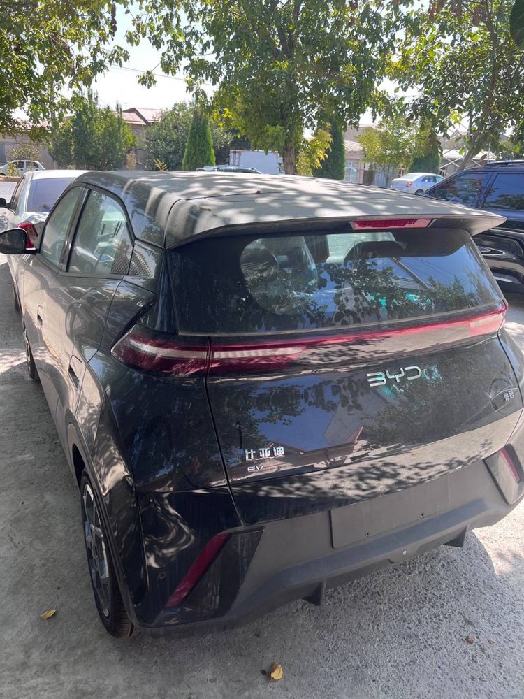 Byd seagull eng fulli