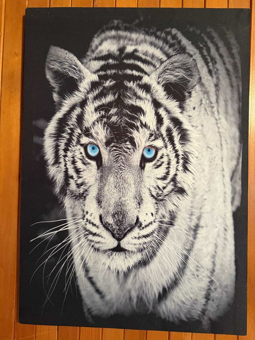 Картина на тигър
