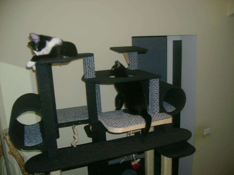 Ansamblu de joaca pentru pisici