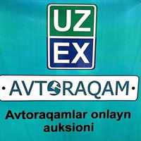 Broker xizmati Auktsiondan chiroyli raqamlar olish