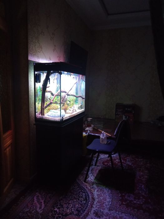 Akvarium podstavkasi bilan sampli 200litr