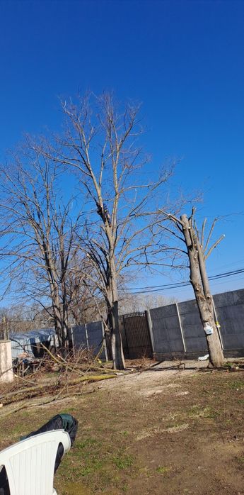 Alpinism Utilitar/Tăiere Arbori/Intervenții 24/7.