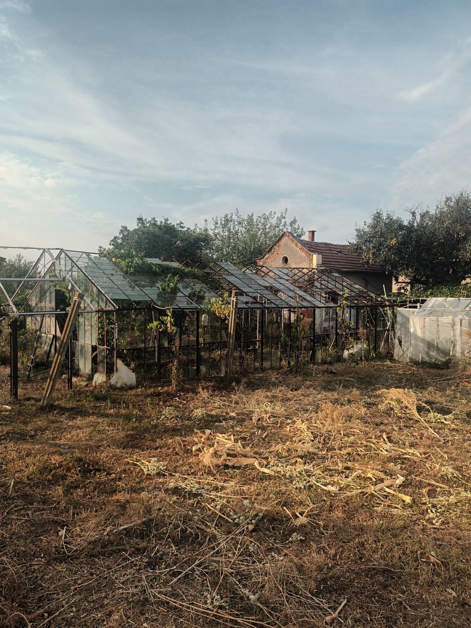 Продавам оранжерия