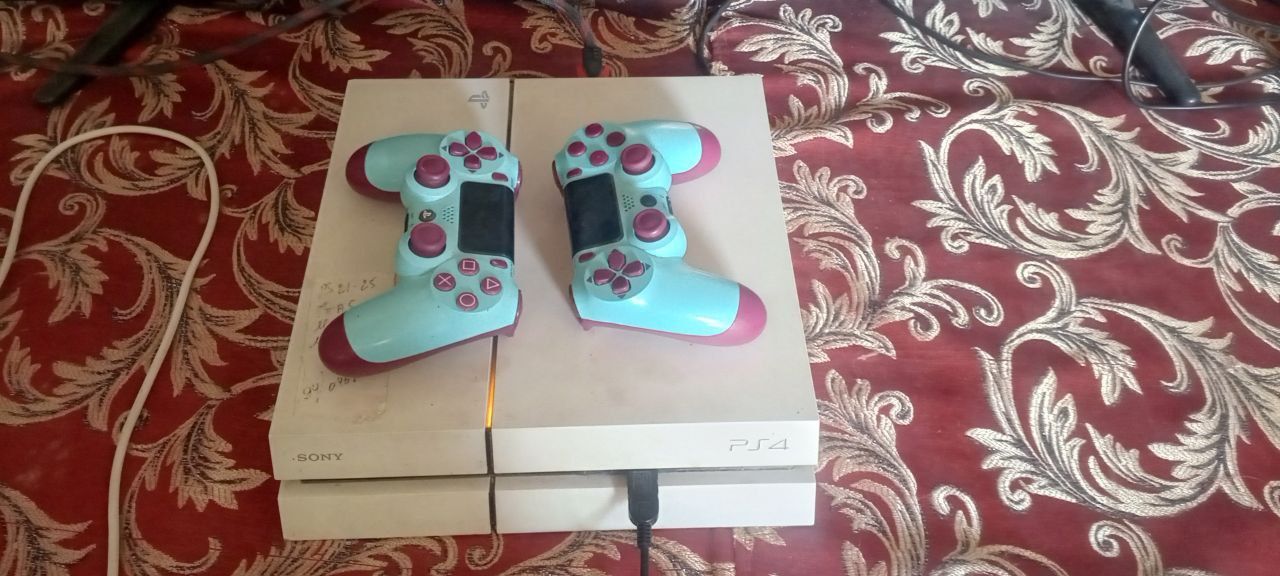 Plasteshn4 yangi