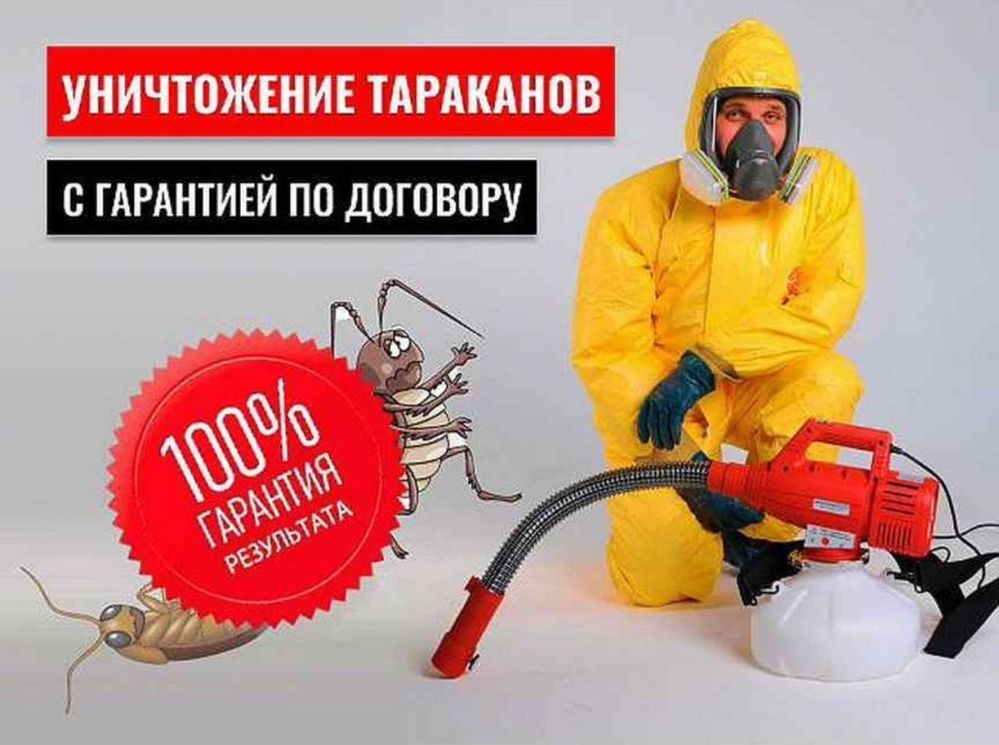 Скидка 10% Дезенфекция дизенфекция дезинфекция дизинфекция dizinfeksiy