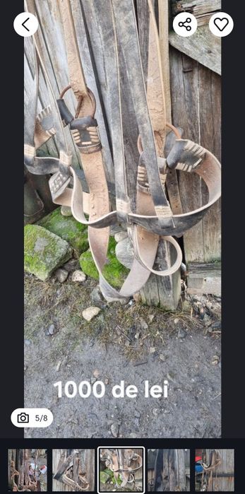 Hamuri cai din piele