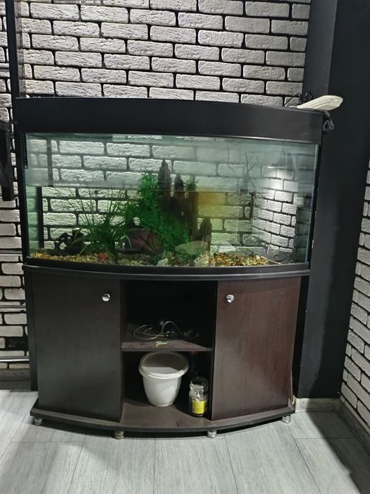 Аквариум из толстого стекла с подсветкой и фильтром и рыбками