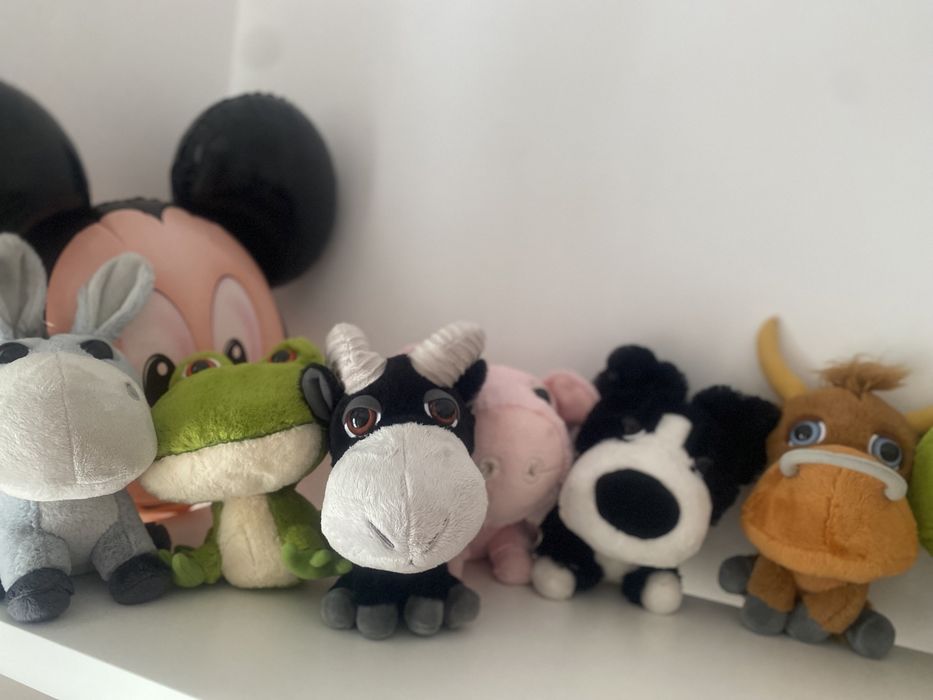 Plusuri colectie PETROM