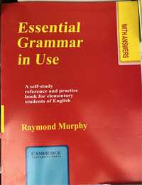 Raymond Murphy книга для практики