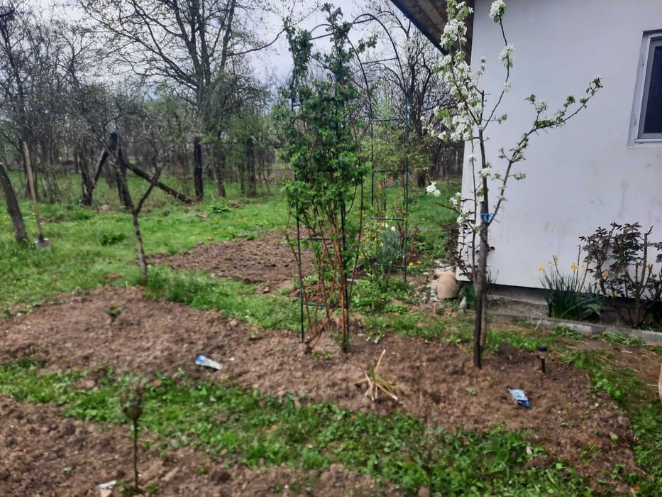 Vand 2500 mp teren intravilan cu cabanuta locuibila Prahova, utilitati