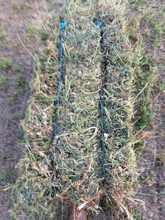 Baloți de lucernă și otravă