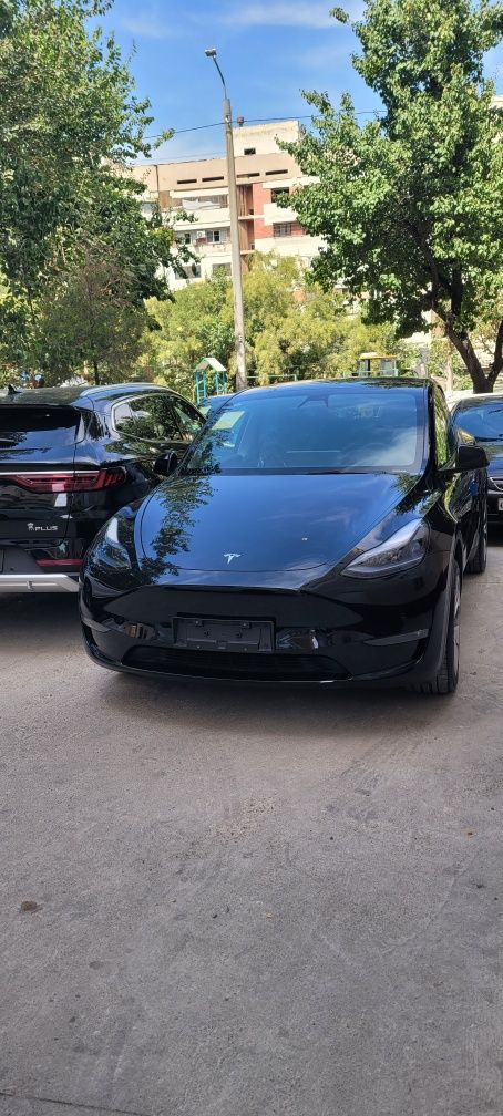 Tesla model "Y" dual motor long range. Тонировка+брониплёнка