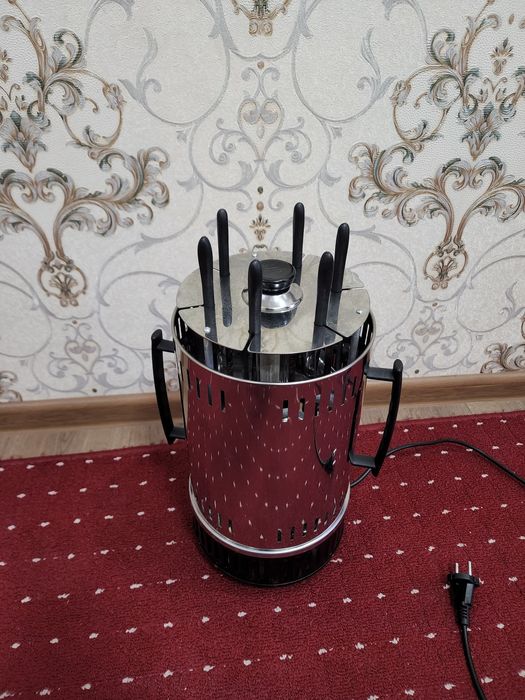 Электорат шашлычница (электр какой пиширгич)