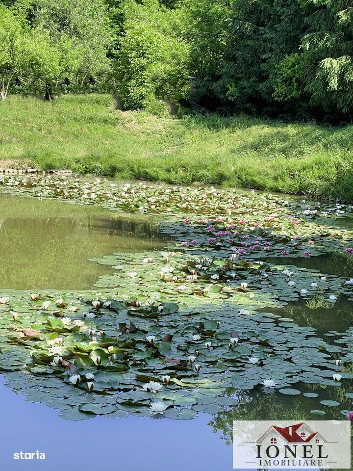 Casa de vacanta cu balta de peste in apropiere de Blaj