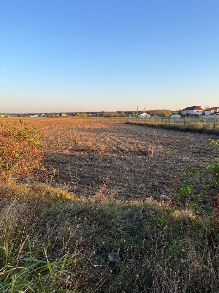Vand teren  in Bolintin Deal , in suprafata de 3500mp-8600mp