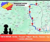 Transport canin & animale de companie