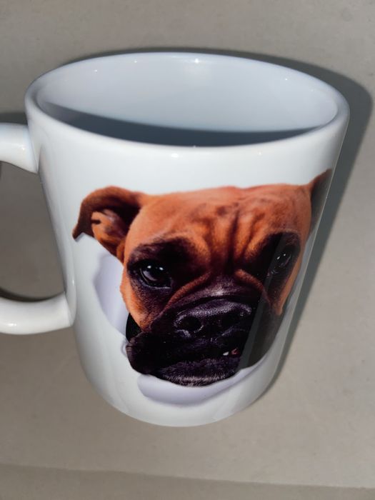 Cana cu catel nefolosita