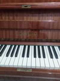 pianina sotiladi