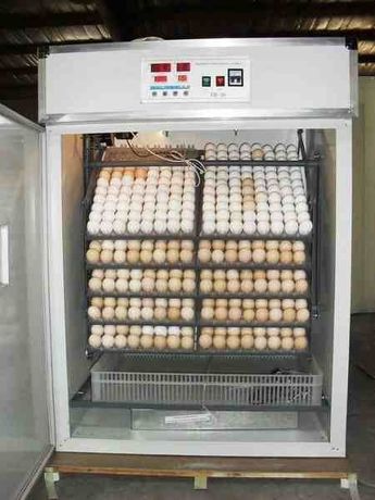 Inkubator "EGG BOX" Sotiladi