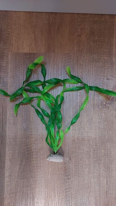 Продам искусственные водоросли