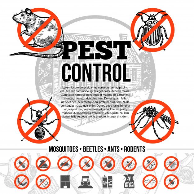 Качественные дезинфекции от тараканов и клопов без запаха и вреда.