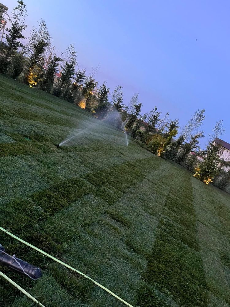 Vand si montez gazon rulou si plante ornamentale
