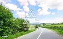 25.000 mp TEREN Ciucea – Calea Lata, jud. Cluj