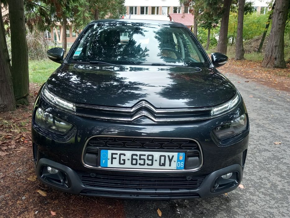 Citroen C4 Cactus 1,5 HDI 120 Cp Automata 2019
