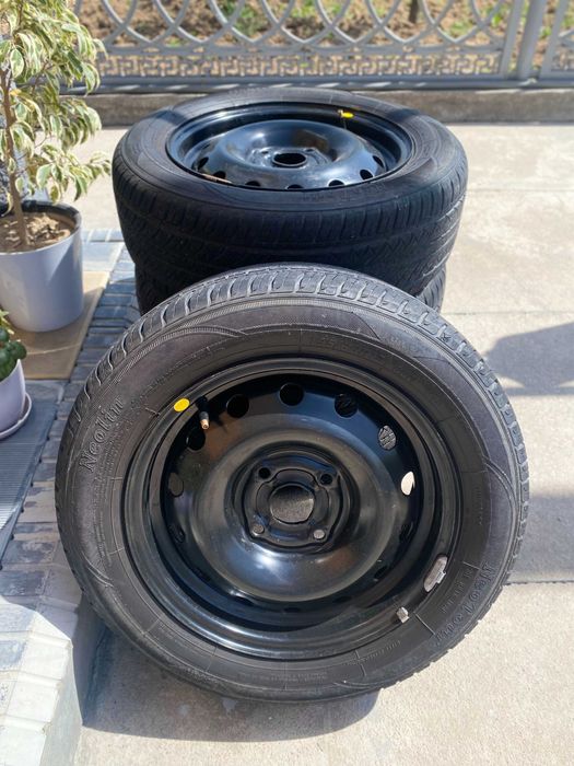 NeoLine - NeoTour avtobalonlari