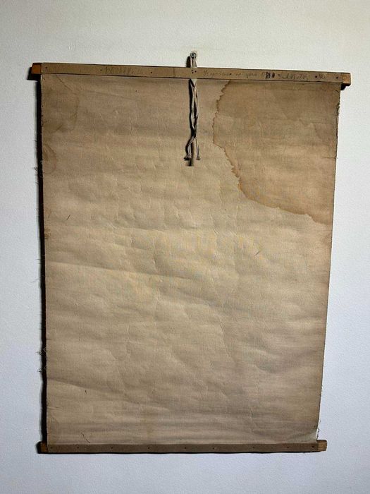 Соц Учебни Плакати Постери Ботаника