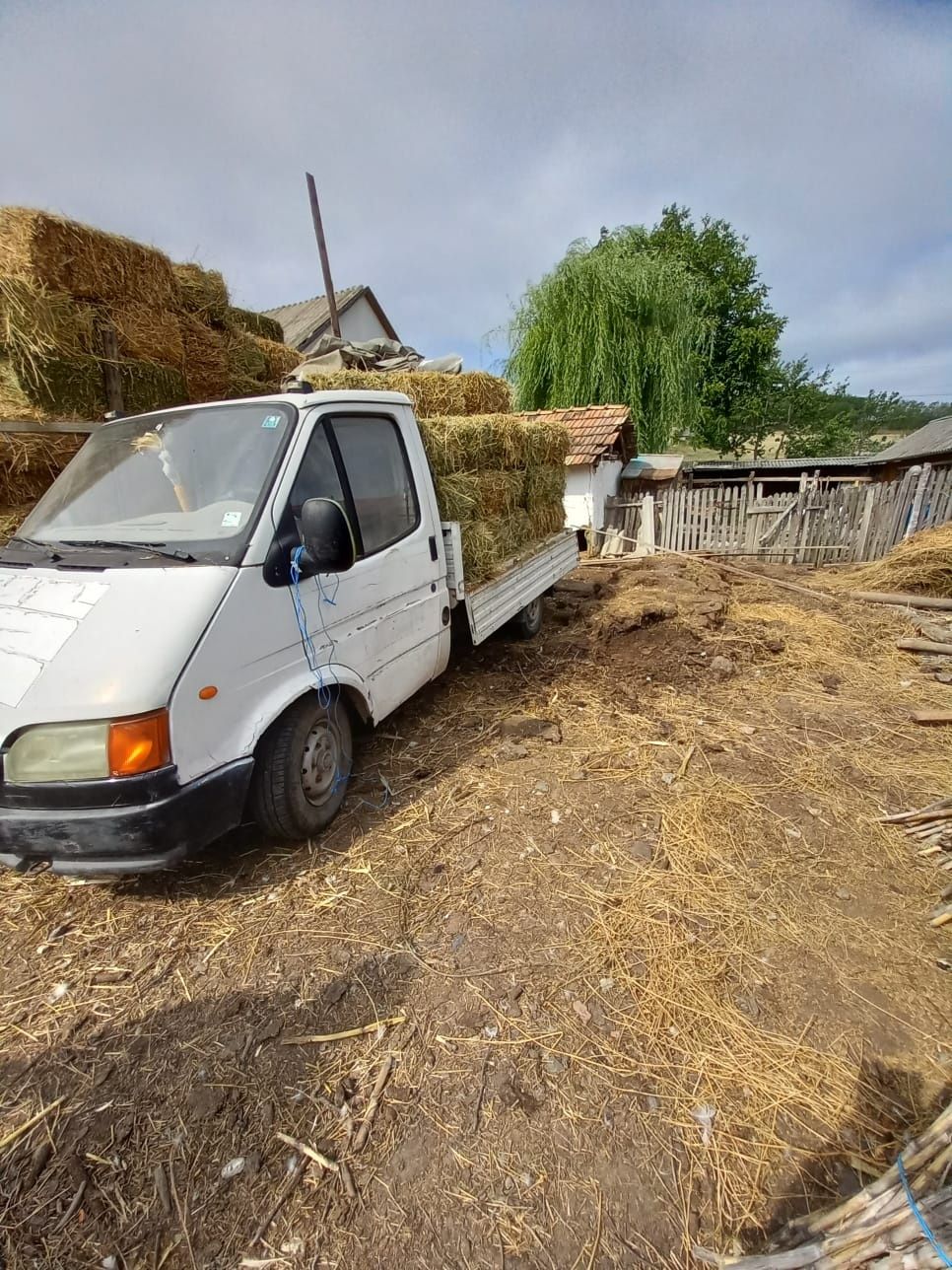 Schimb camioneta pe 15 miele karakul