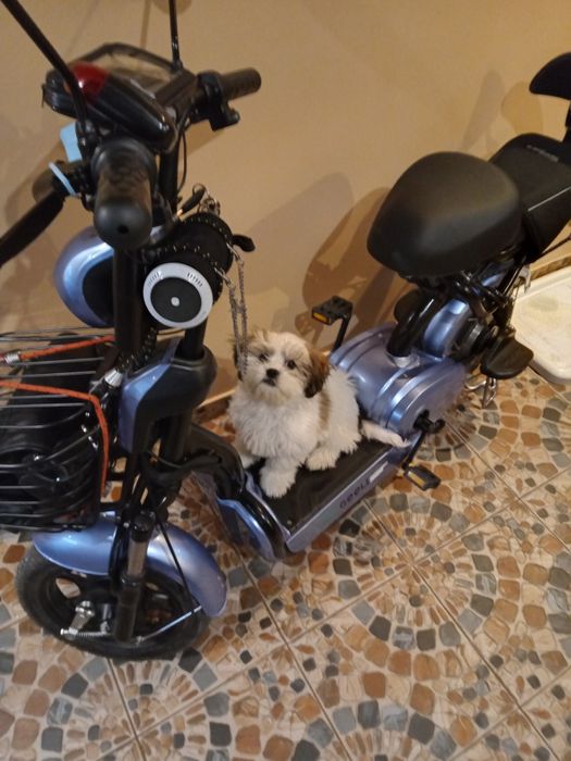 Bicicleta electrica stare buna.