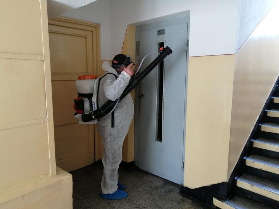 Dezinsecție Dezinfecție și Deratizare