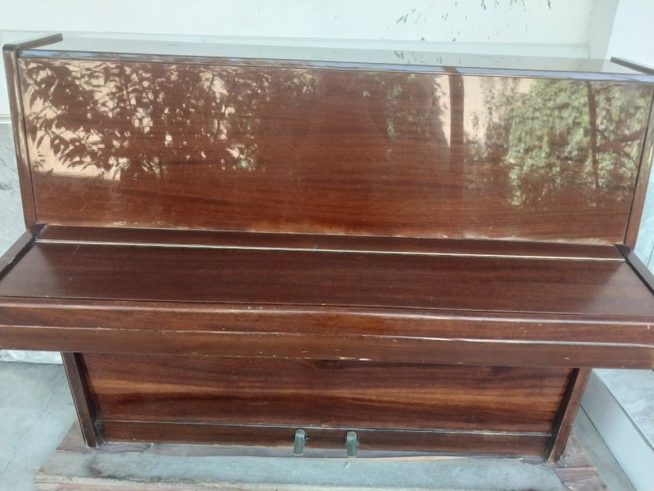 Pionina RIGA sotiladi