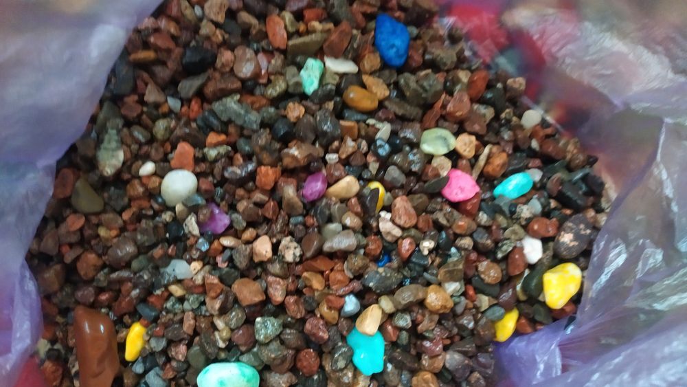 Продам аквариум 45 л и рыбки разные