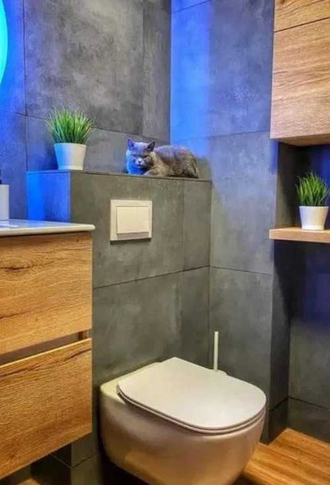 Дава се под наем Тристаен апартамент в Пловдив, Център - 88 кв.м за 265.2 € - Снимка #2