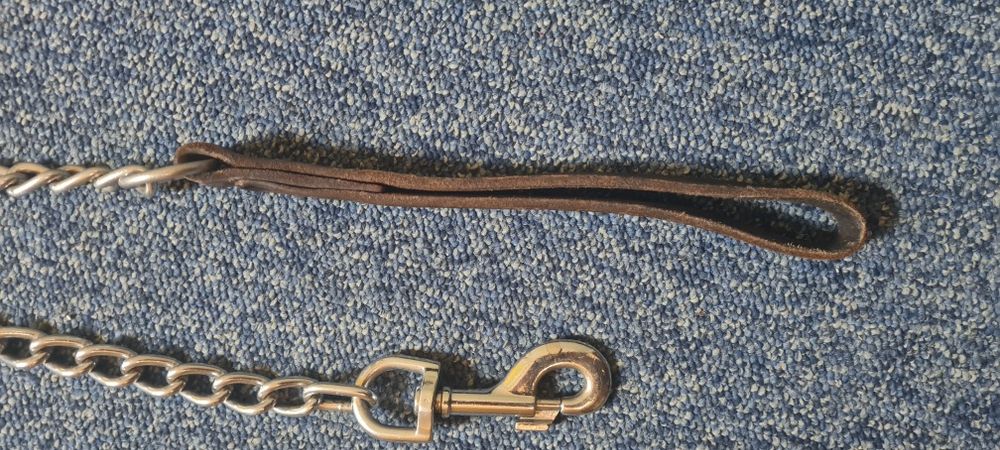 Lesa 70 cm pentru caine mare