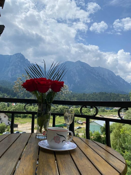 Vila Mihaela – Cazare Bușteni, Strada Castel Cantacuzino