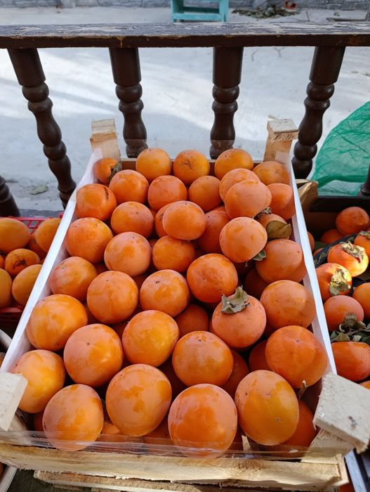 Uzo voxtgacha saqlasa boladgan xurmo ikki xil limon va shkoladniy