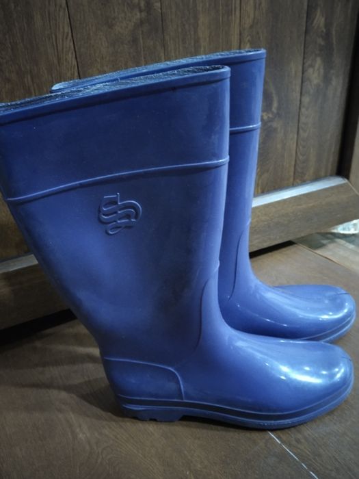 Продам осенние сапоги и зимние и резиновые сапоги