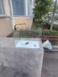 Vând acvariu pești exotici 60 litri