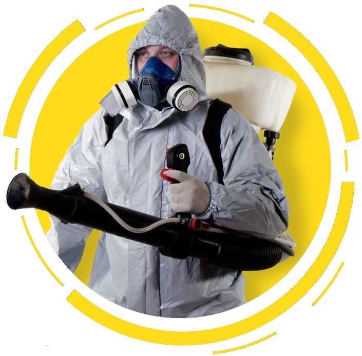 Дезинфекция СКИДКА20%  избавим от клопов тараканов ос мышей ГАРАНТИЯ