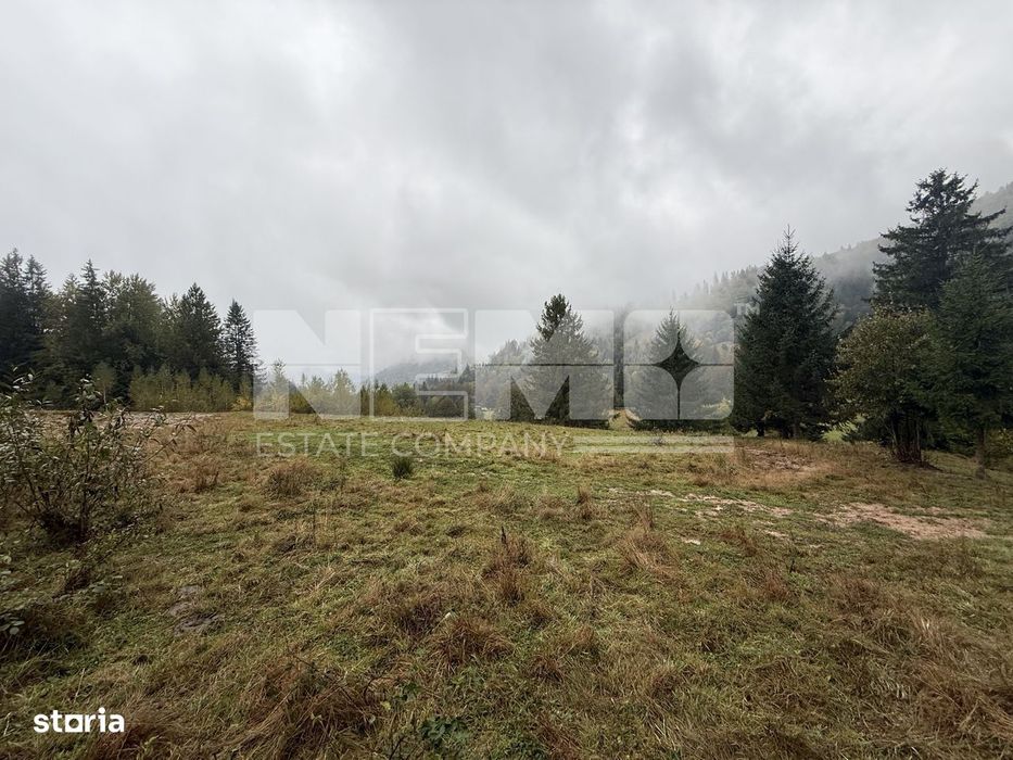 Teren Intravilan | 6.100 mp | Brodina | 42.000 € negociabil