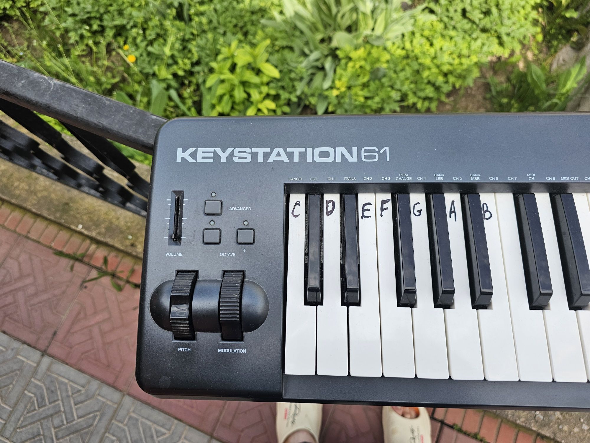 M- audio keystation 61. Миди клавиатура.