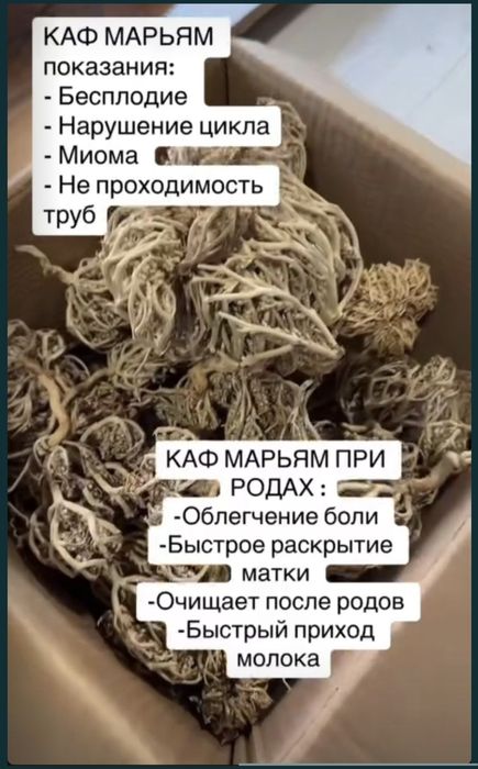 Каф марьям для  лёгких  родов и при бесплодии